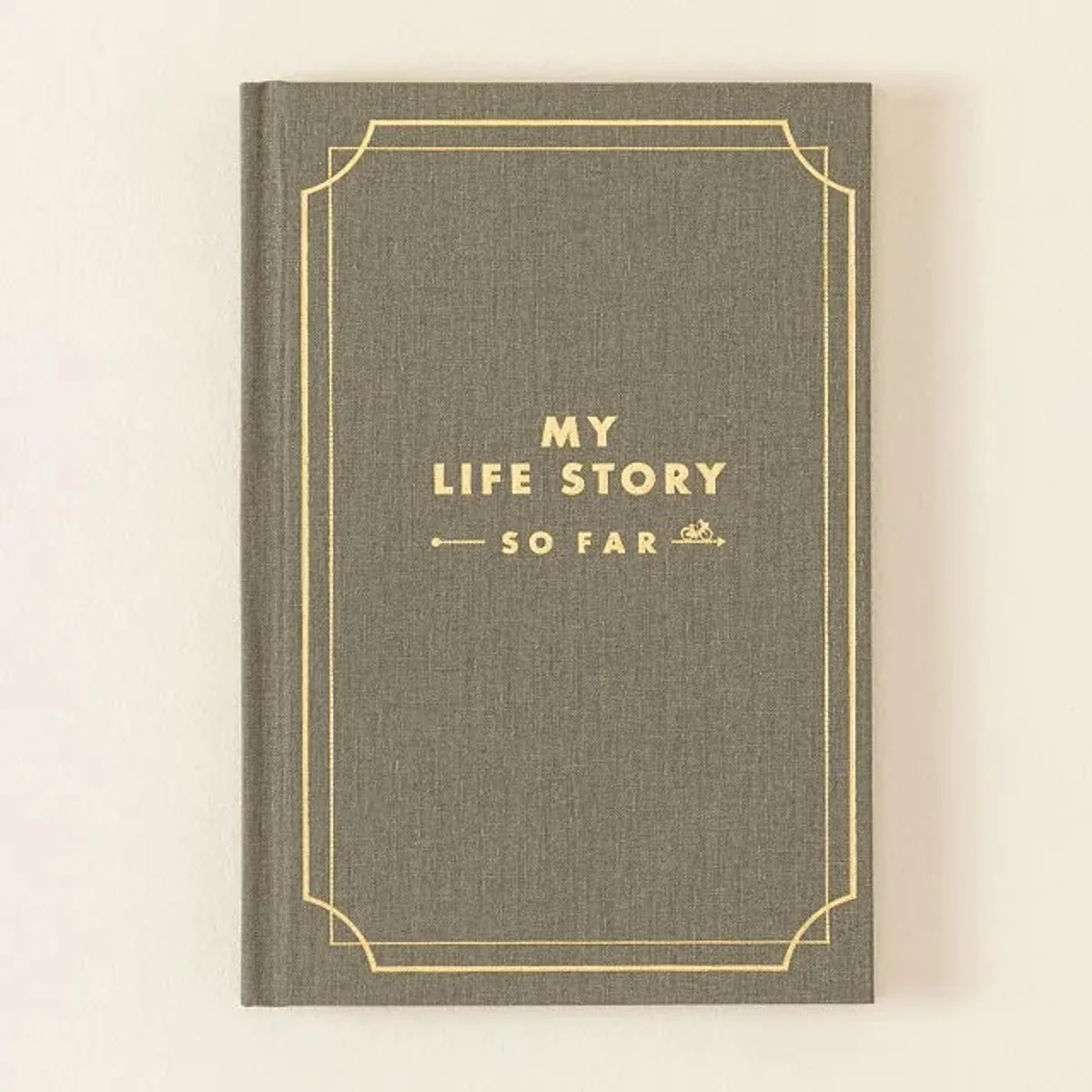 My Life Story So Far journal