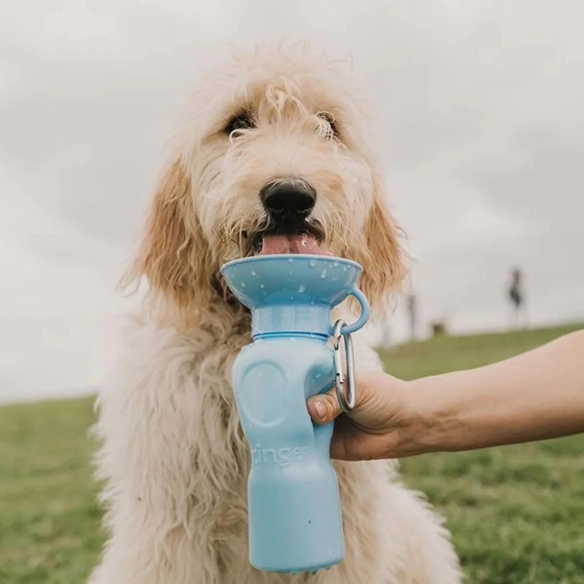 travel bottle